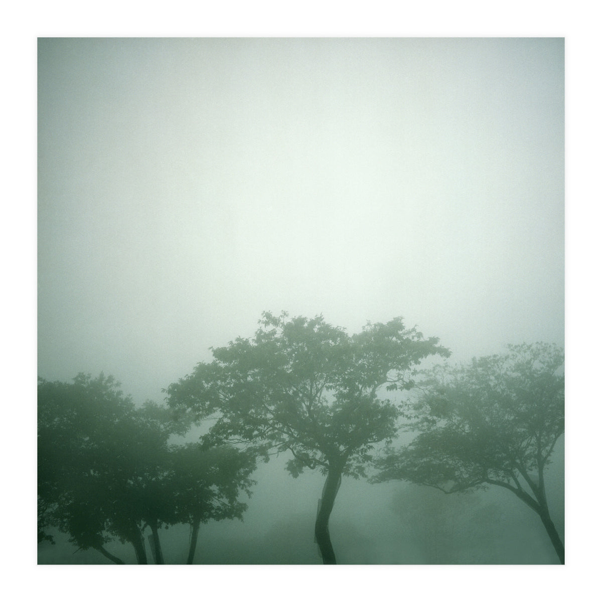 Silence of breath - 17 (Print Only)