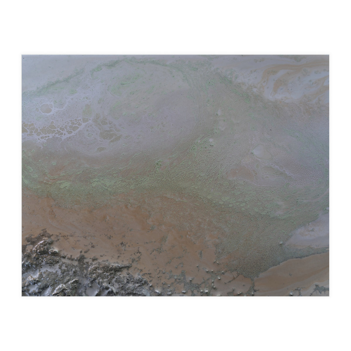 Illuminated (Print Only)