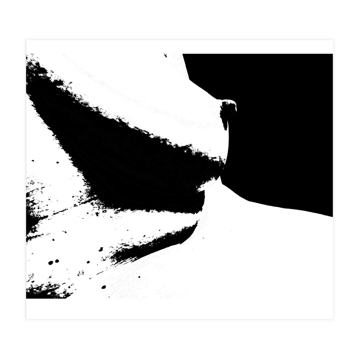 Black & White Study I (Print Only)