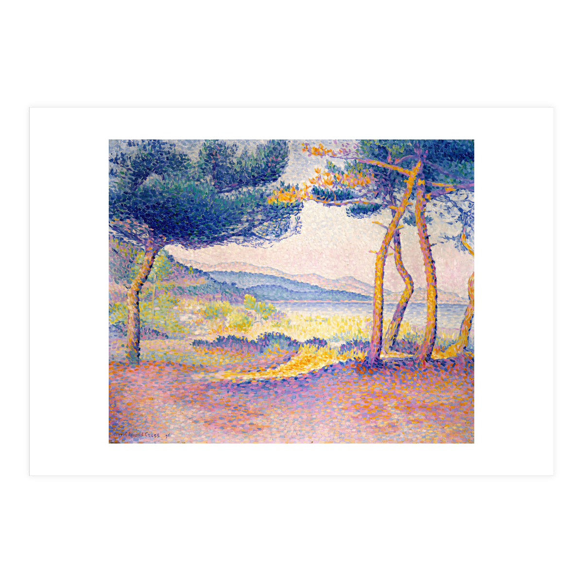 Pines Along the Shore. (Print Only)