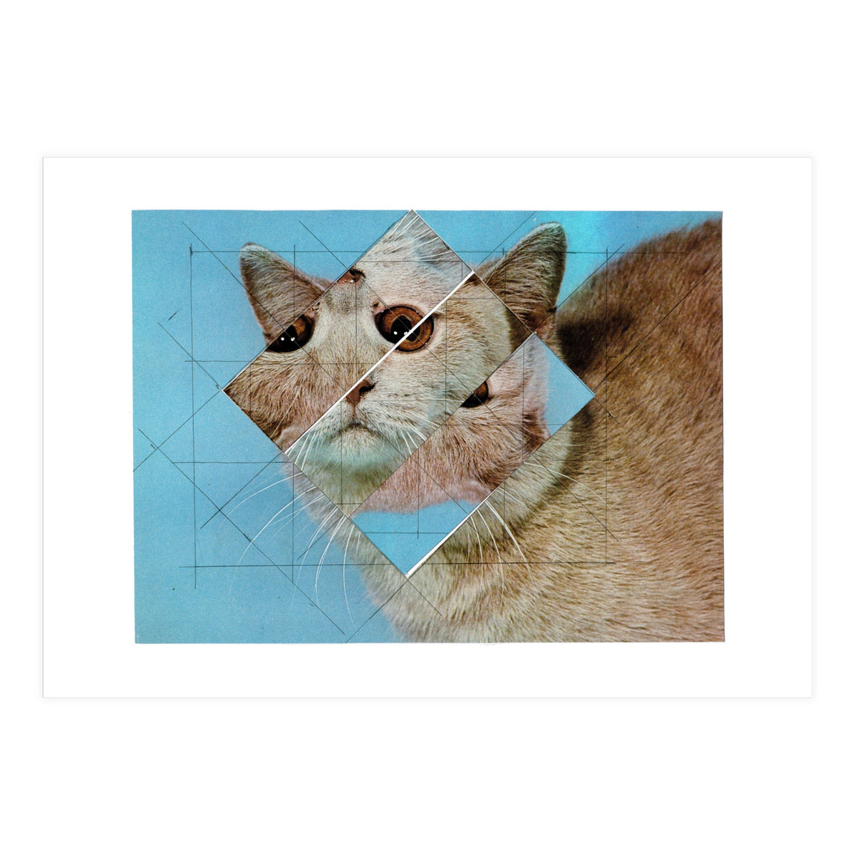 The Depressive Cat Am Abend Bekommt Den Blues (Print Only)