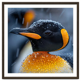 King Penguin Close Up In Snowfall thumbnail