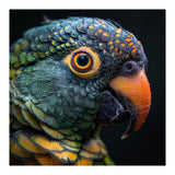 Close Up Of A Colorful Parrot's Face (Print Only) thumbnail