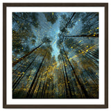 Enchanted Night Forest with Glowing Fireflies thumbnail