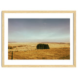 Dartmoor 2018 thumbnail
