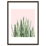 Botanical Balance thumbnail