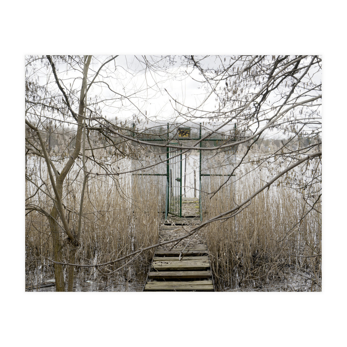 The gate to the lake (Print Only)