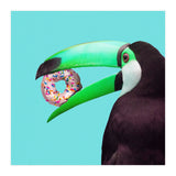 Sweet Toucan (Print Only) thumbnail