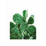 Velvet Cactus | Watercolor Botanical Plants | Minimal Boho Scandinavian Painting (Print Only) thumbnail