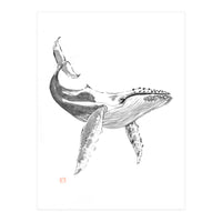 Whale (Print Only)