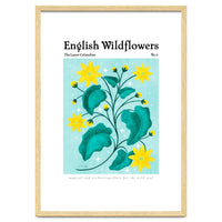 English Wildflowers | Lesser Celandine