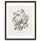 Currier & Ives – Rose of May (1870) thumbnail