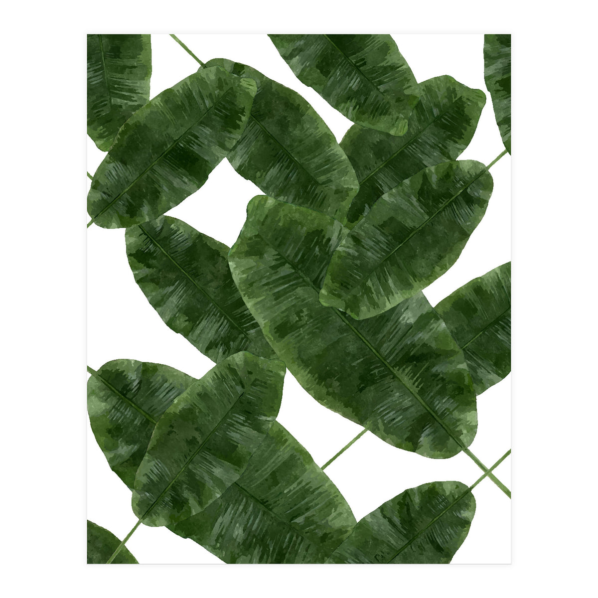Banana Leaves V2 (Print Only)