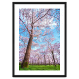 Spring in optima forma thumbnail