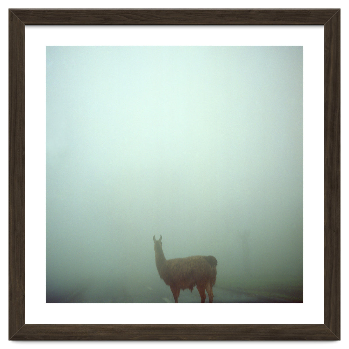 Silence of breath - 04