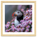 Atlantic Puffin Amidst Pink Heather Flowers thumbnail