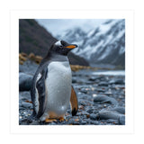 Gentoo Penguin Standing On A Rocky Shore (Print Only) thumbnail