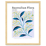 Australian Flora: Golden Wattle thumbnail
