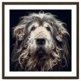 Old Dog 010 thumbnail