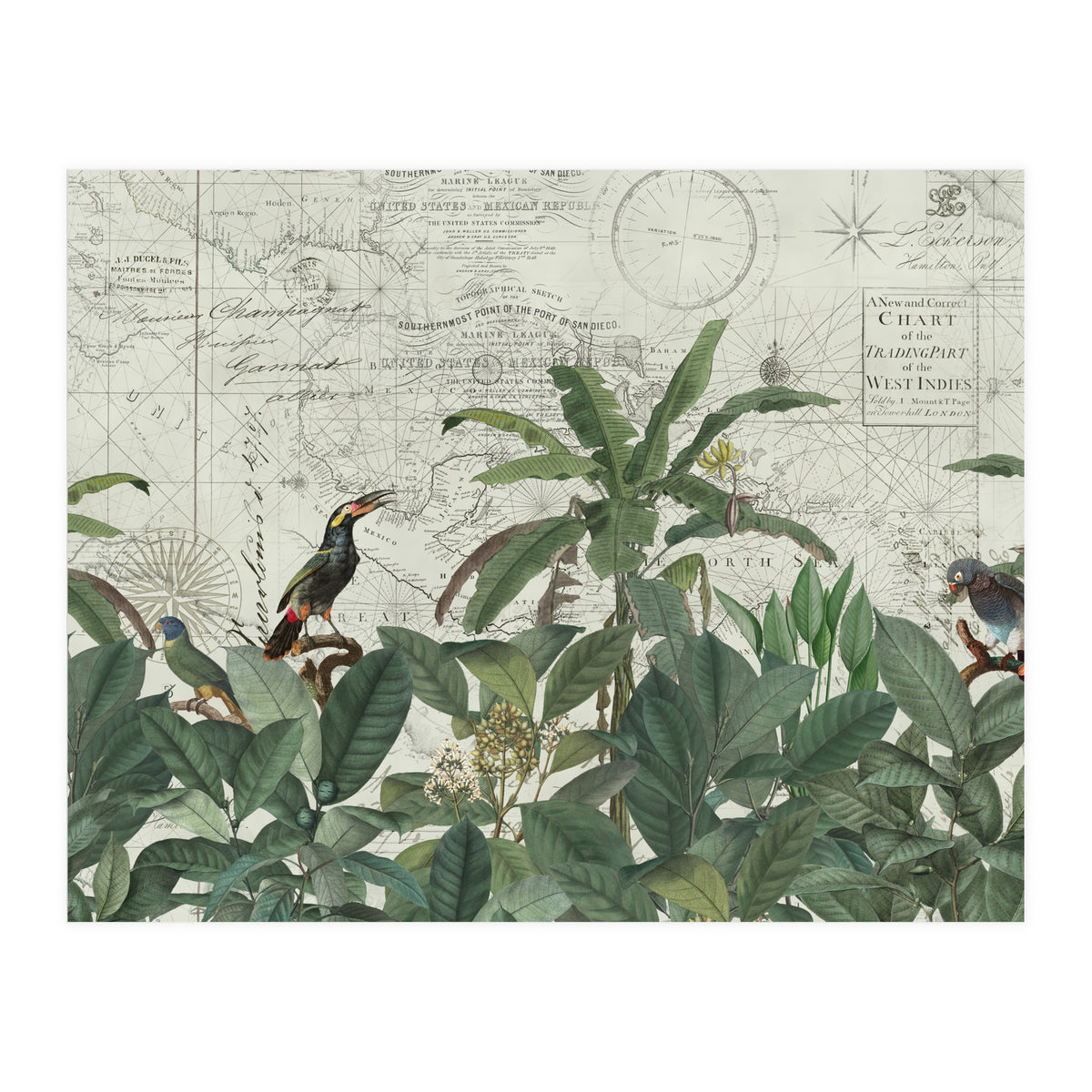 Explore The New World (Print Only)