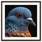 Close Up Of A Pigeon Bird thumbnail