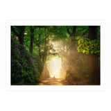 Hare in paradise (Print Only) thumbnail