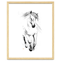 Runninh Ghorse In Water