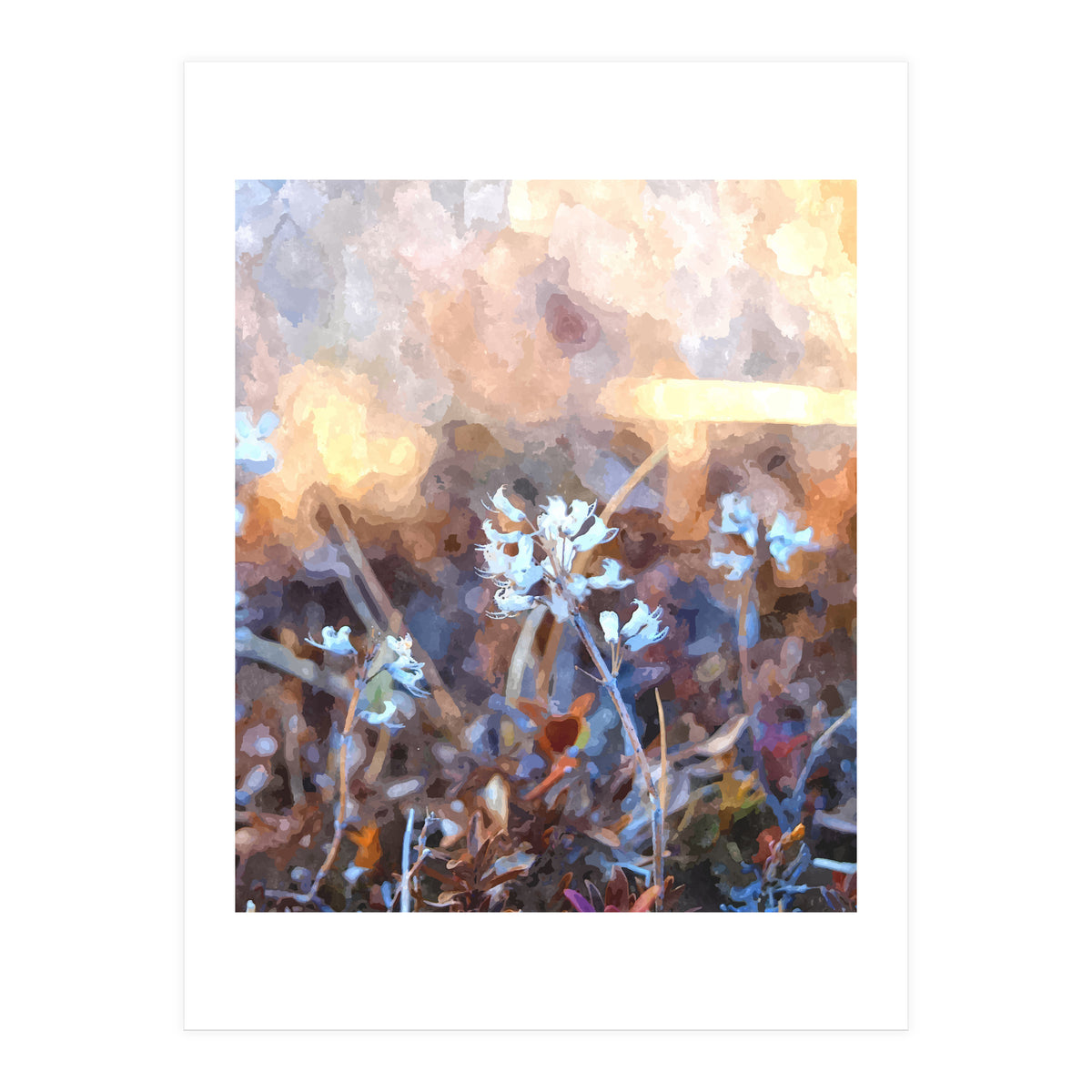 After The Rain (Print Only)