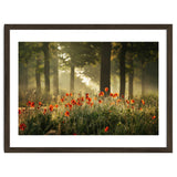 The poppy forest thumbnail