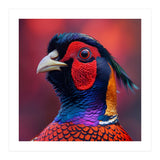 Close Up Pheasant Bird Head Detailed Feathers (Print Only) thumbnail