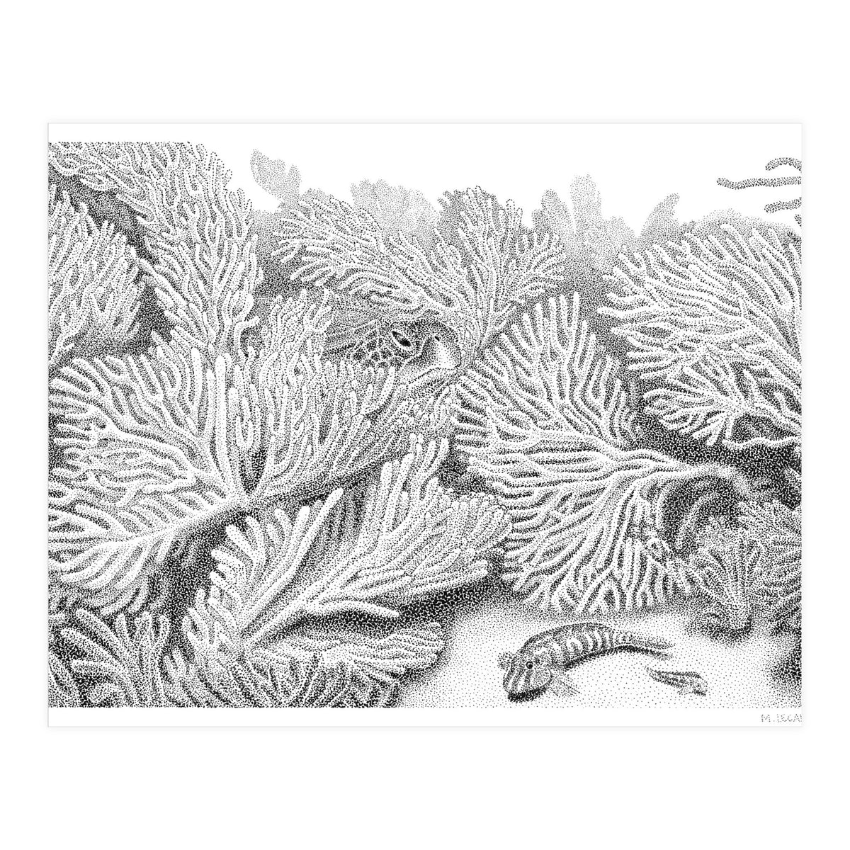 Hidden in plain sight (Print Only)