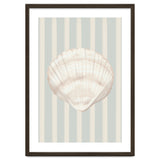 Sea shell thumbnail