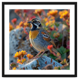 Bird Perched On A Rock With Flowers thumbnail