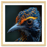 Close Up Of A Colorful Bird Head And Eye