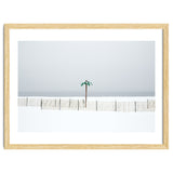 Fake palm tree in the winter snow beach thumbnail