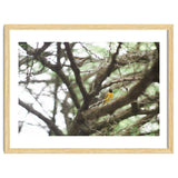 Mini sun thumbnail