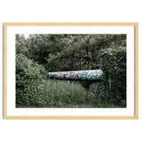 Graffiti pipe among the summer forest thumbnail