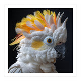 Close Up Of A Cockatoo Parrot With Yellow Crest (Print Only) thumbnail