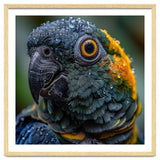 Close Up Of A Wet Macaw Parrot Head thumbnail