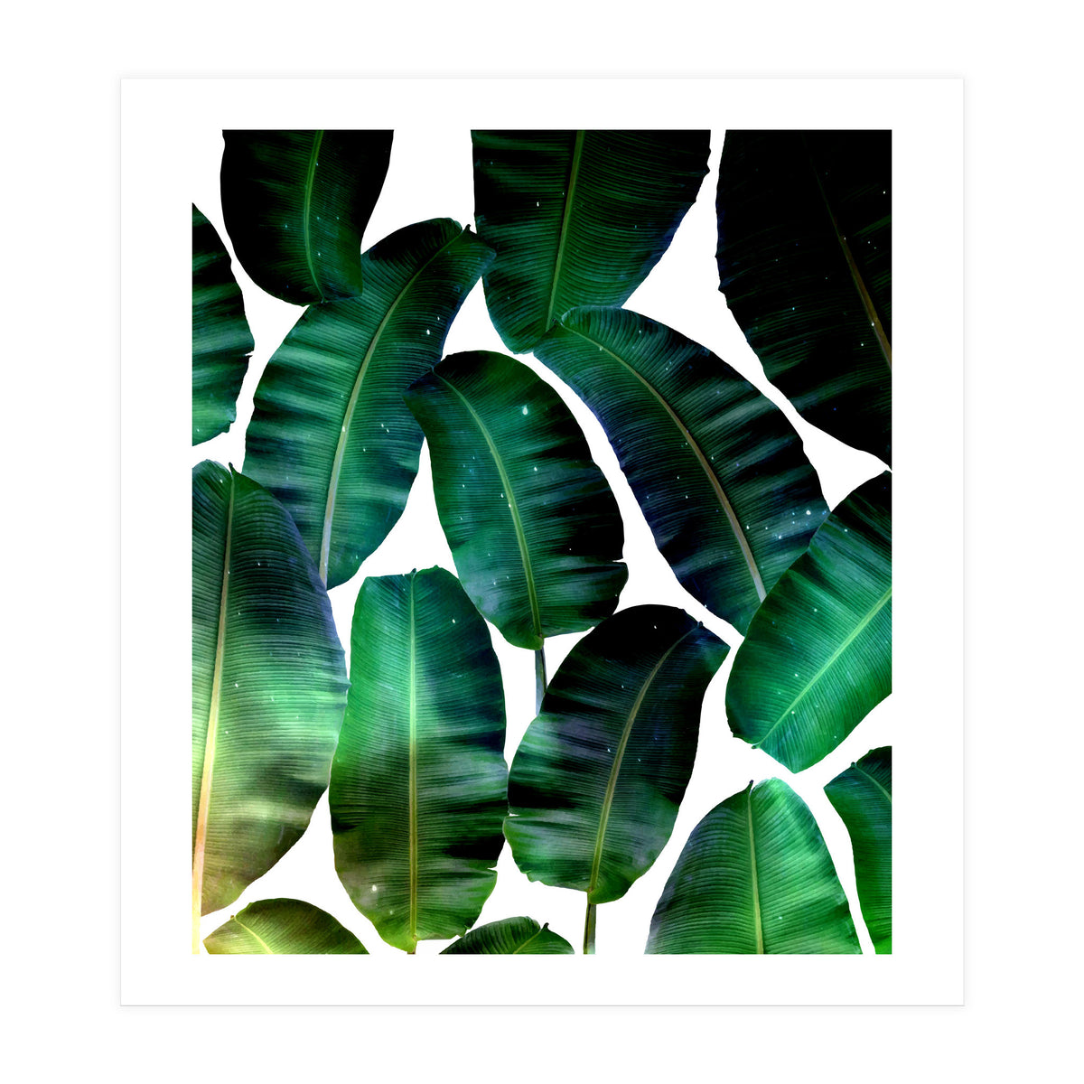 Cosmic Banana Leaves (Print Only)