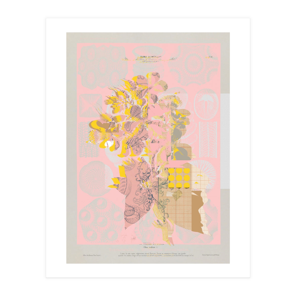 The First Plant · Tuesday Mix Mit Resten (Print Only)