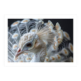 Close Up Albino Peacock Bird Portrait (Print Only) thumbnail