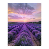 Infinite Horizons (Print Only) thumbnail