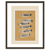 Minimal Fish Study thumbnail