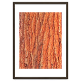 Tree Bark thumbnail