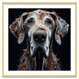 Old Dog 04 thumbnail