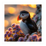 Puffin Bird Amidst Purple Flowers Golden Hour (Print Only) thumbnail