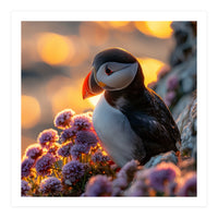 Puffin Bird Amidst Purple Flowers Golden Hour (Print Only)