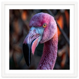 Close Up Of A Pink Flamingo Bird Face thumbnail