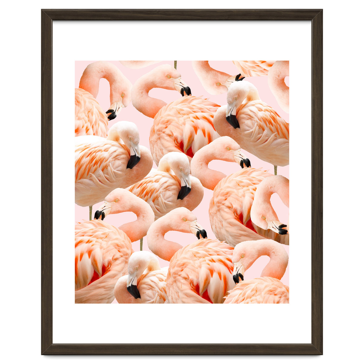 Flamingo Blush #society6 #decor #buyart #flamingoart